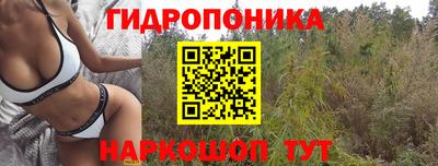 крисы Красноармейск