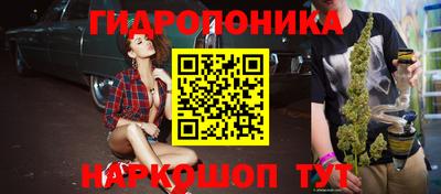 стафф Кохма