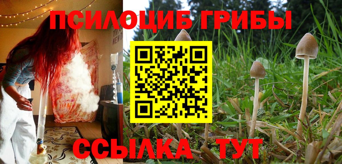 Псилоцибиновые грибы GOLDEN TEACHER  Вход с VPN  Видное 